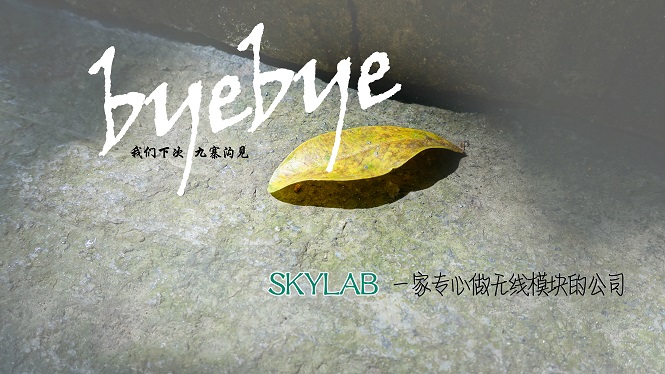 SKYLAB，一家做无线模块的公司